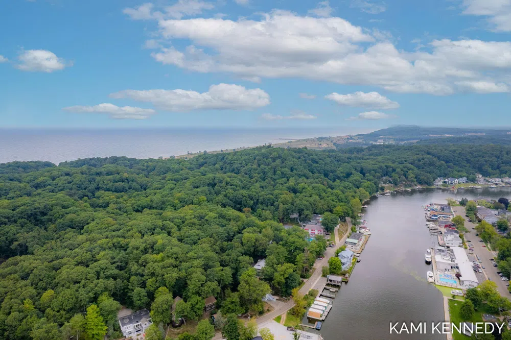 447 Butler Street Saugatuck, MI 49453