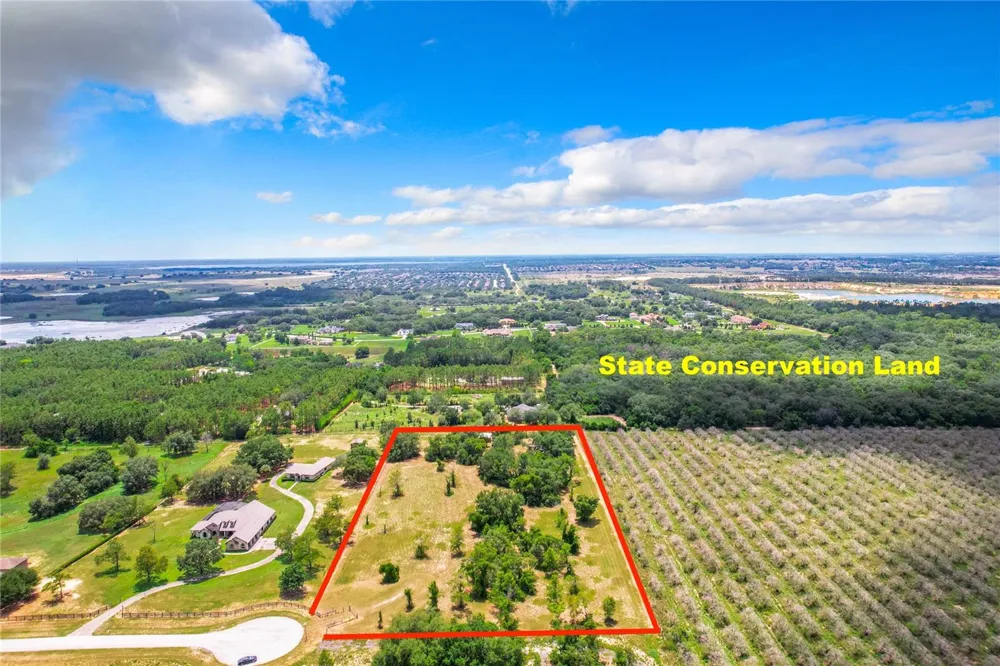 10133 COLT LANE Winter Garden, FL 34787
