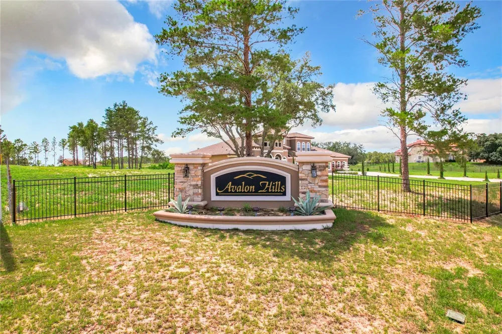 10133 COLT LANE Winter Garden, FL 34787