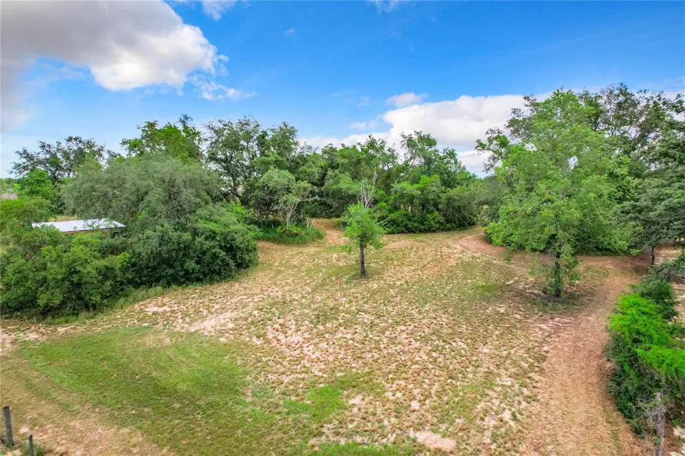 10133 COLT LANE Winter Garden, FL 34787