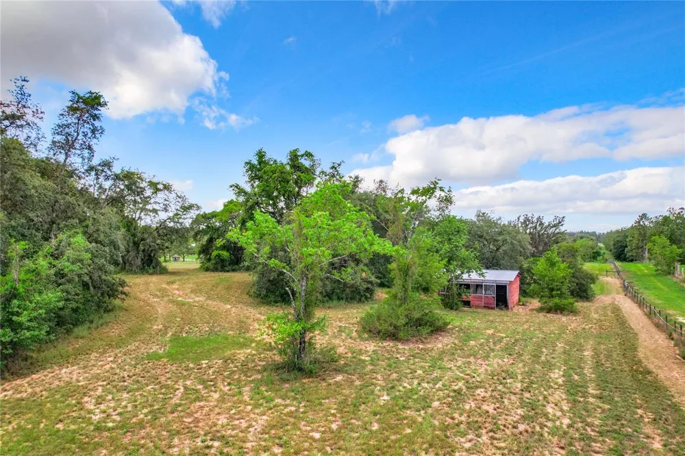 10133 COLT LANE Winter Garden, FL 34787
