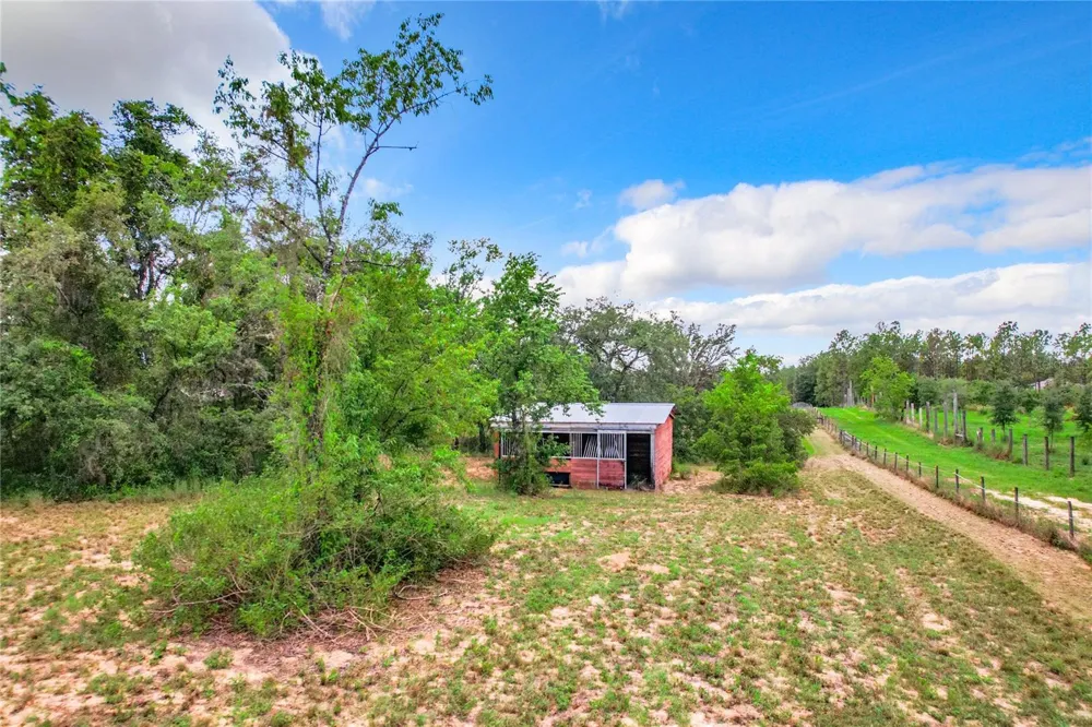 10133 COLT LANE Winter Garden, FL 34787