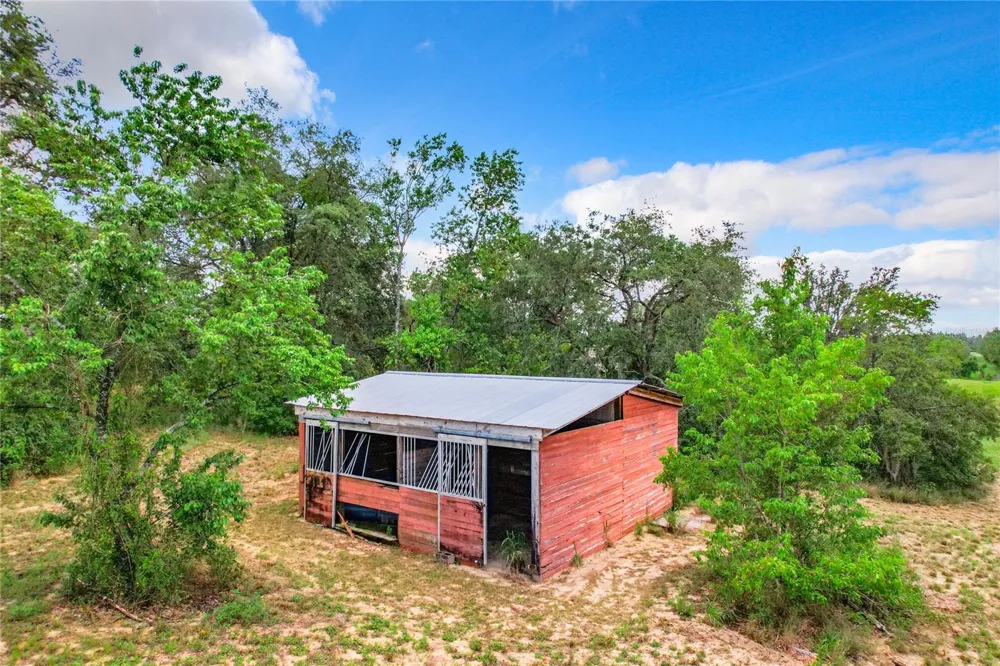 10133 COLT LANE Winter Garden, FL 34787