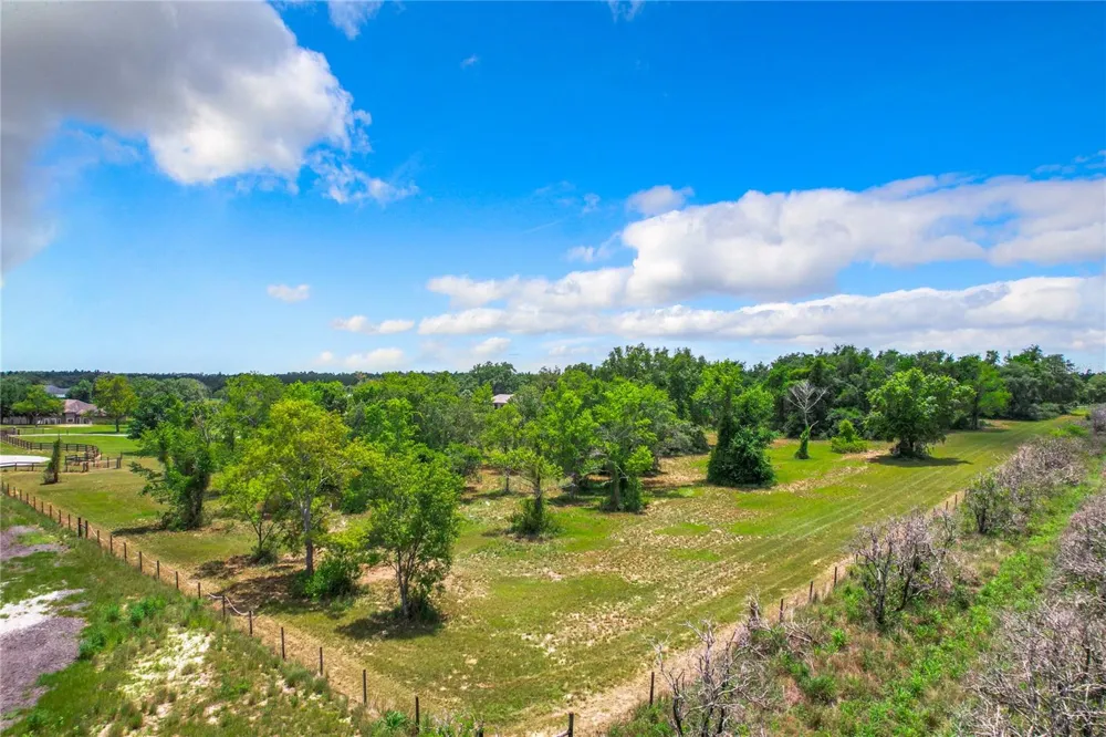 10133 COLT LANE Winter Garden, FL 34787
