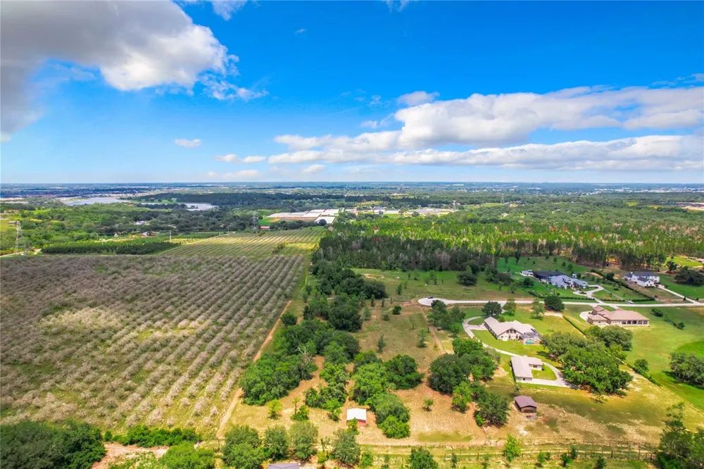 10133 COLT LANE Winter Garden, FL 34787