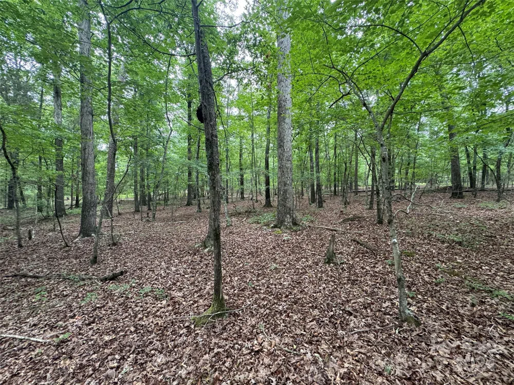 0 Reeves Island Road Gold Hill, NC 28071