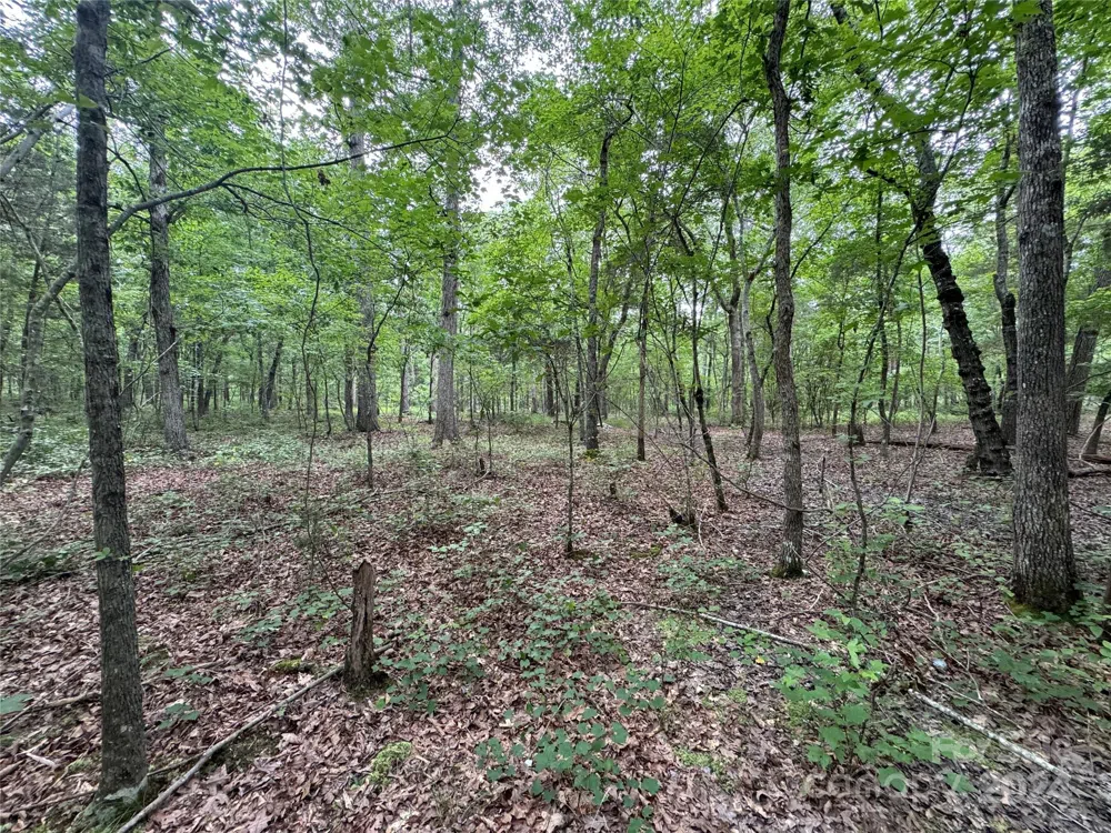 0 Reeves Island Road Gold Hill, NC 28071