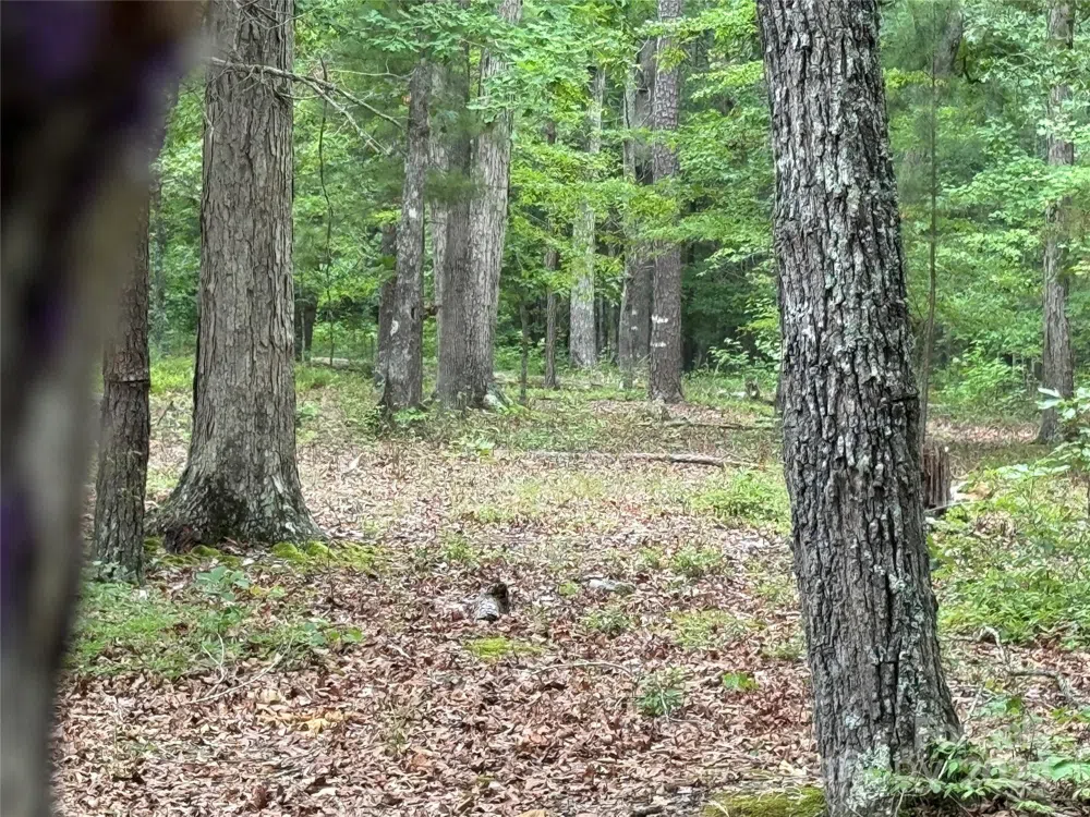 0 Reeves Island Road Gold Hill, NC 28071
