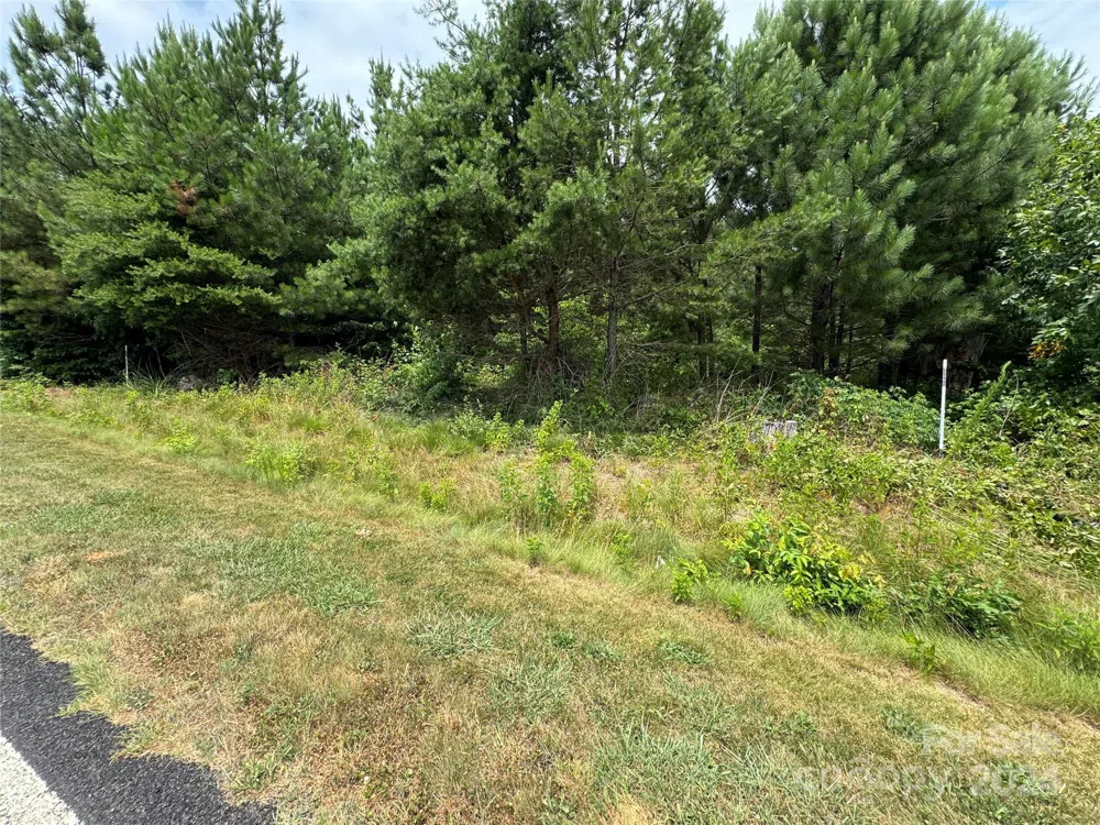 0 Reeves Island Road Gold Hill, NC 28071