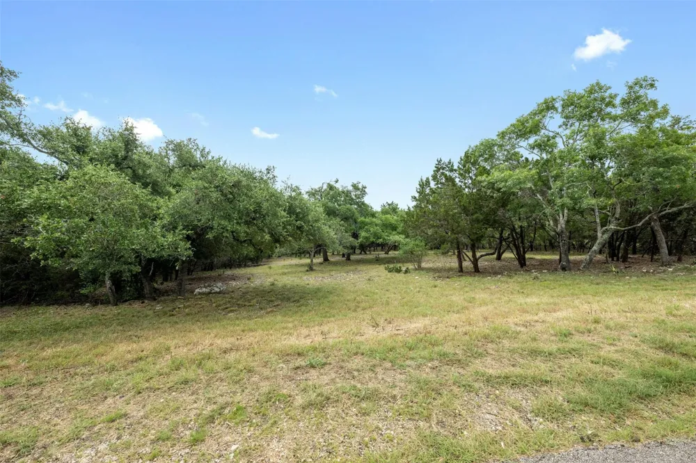 1005 Covered Bridge Drive Driftwood, TX 78619