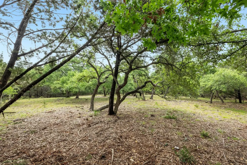1005 Covered Bridge Drive Driftwood, TX 78619