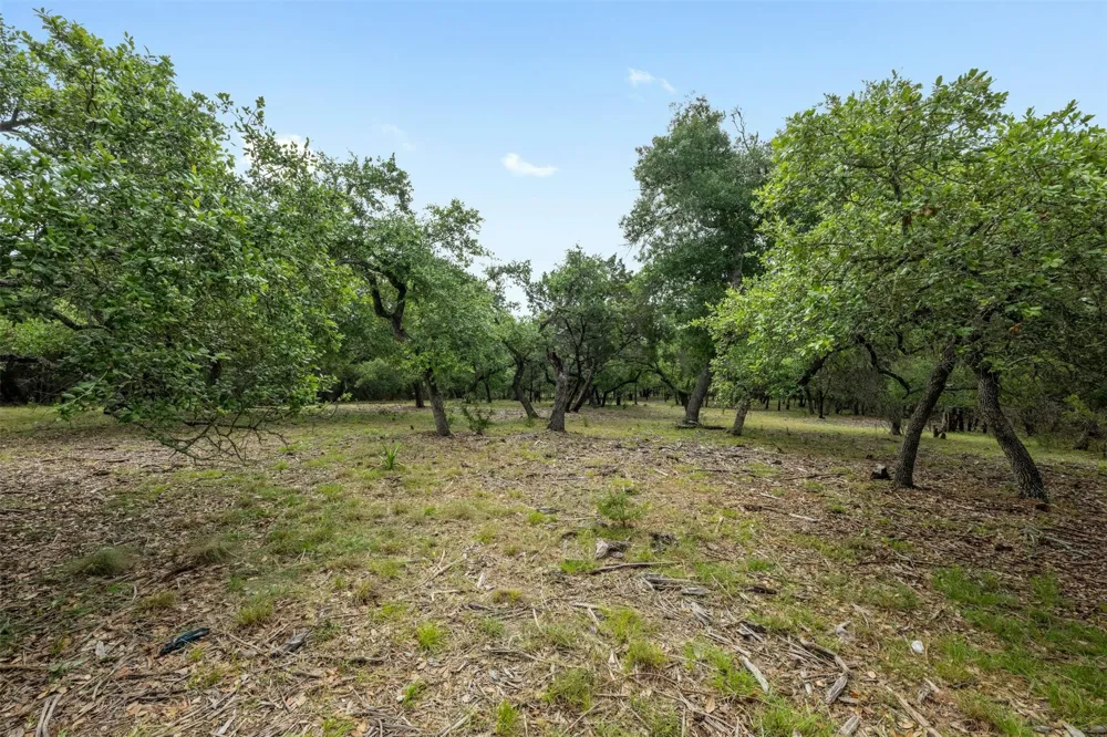 1005 Covered Bridge Drive Driftwood, TX 78619