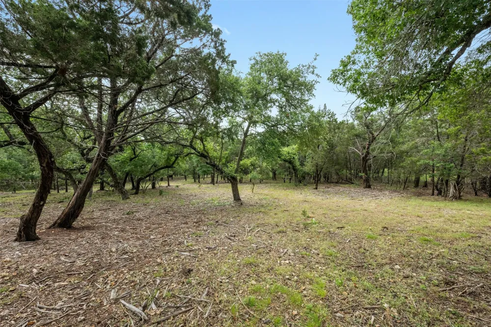 1005 Covered Bridge Drive Driftwood, TX 78619