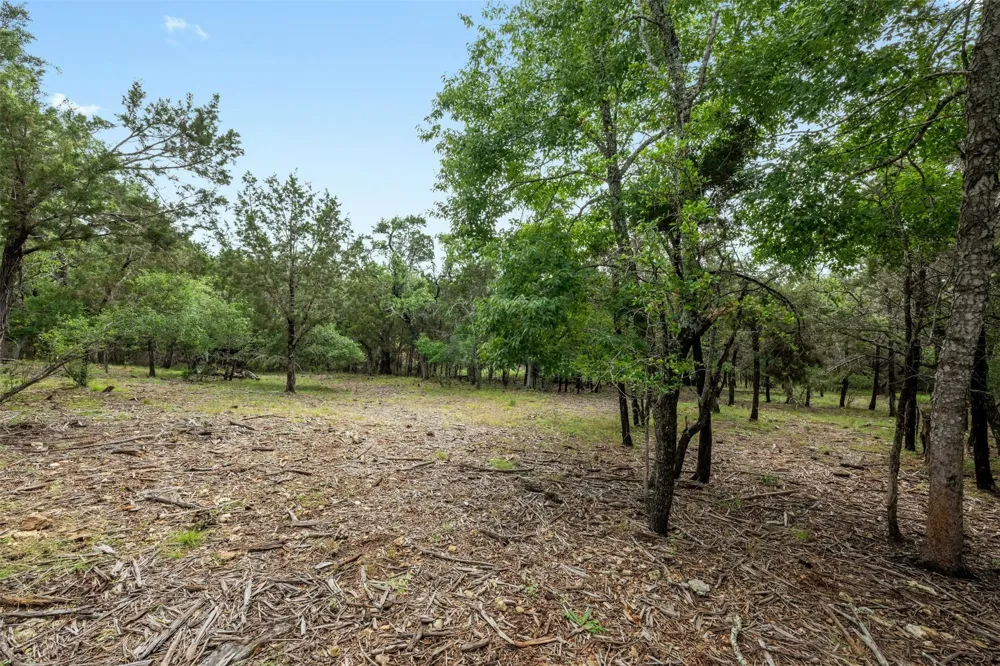 1005 Covered Bridge Drive Driftwood, TX 78619
