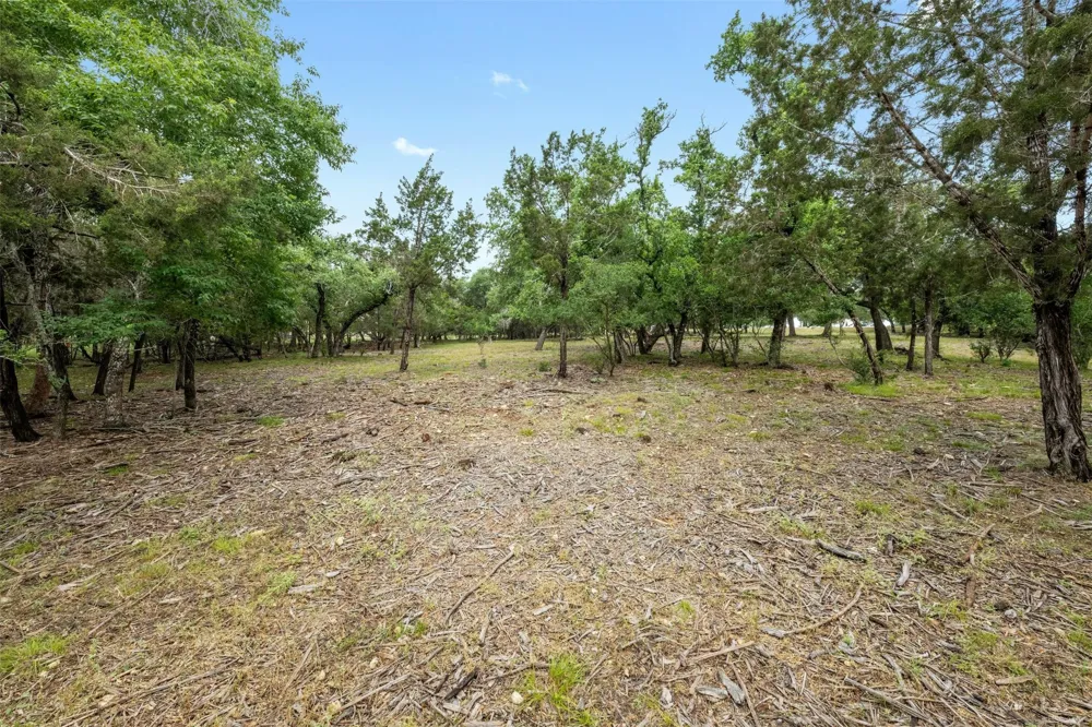 1005 Covered Bridge Drive Driftwood, TX 78619
