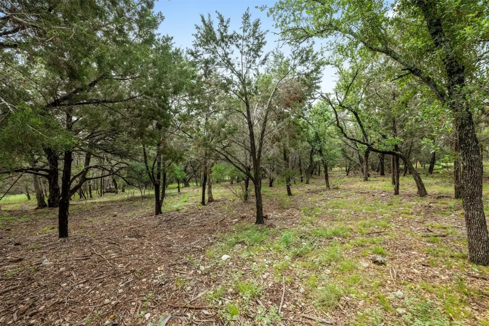 1005 Covered Bridge Drive Driftwood, TX 78619