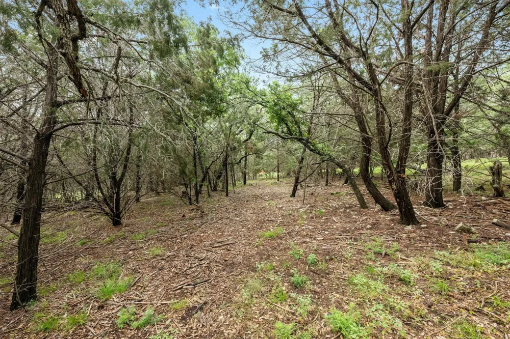 1005 Covered Bridge Drive Driftwood, TX 78619