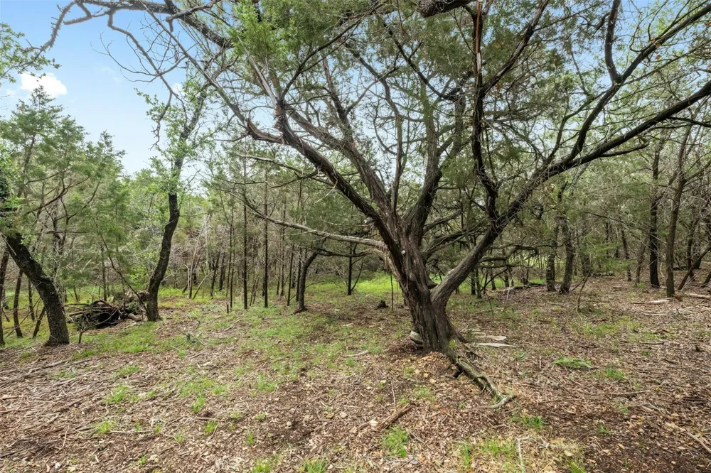 1005 Covered Bridge Drive Driftwood, TX 78619