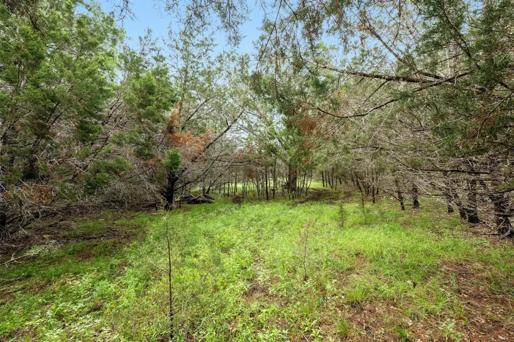 1005 Covered Bridge Drive Driftwood, TX 78619