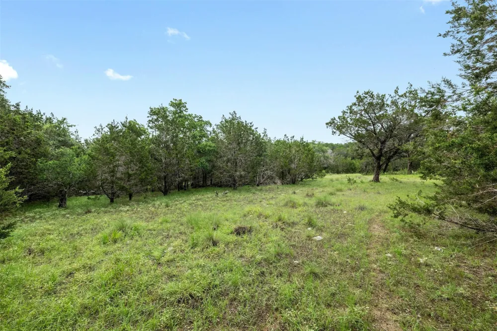 1005 Covered Bridge Drive Driftwood, TX 78619