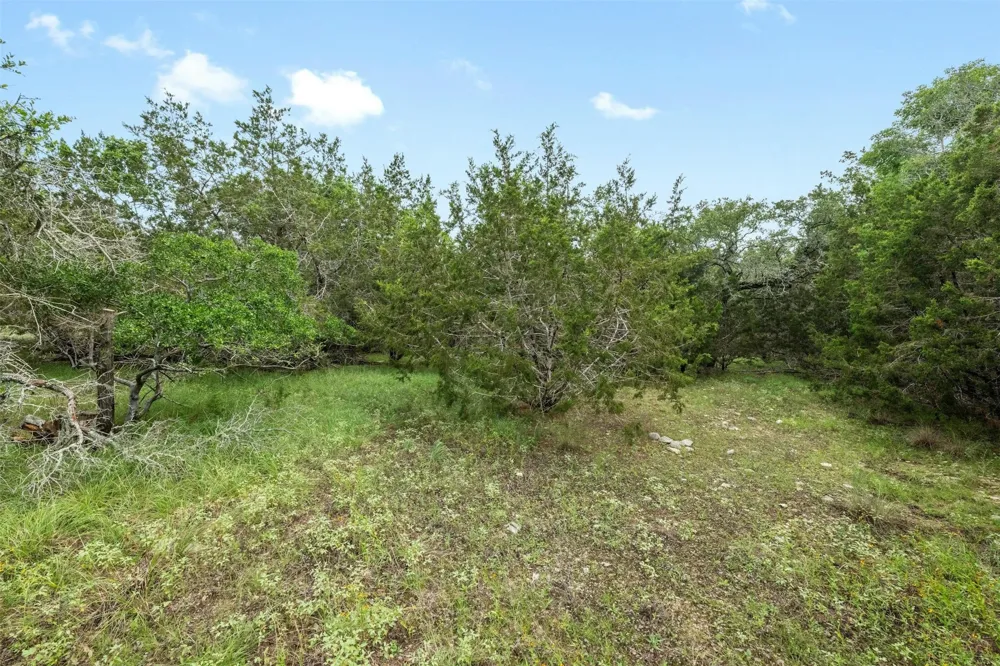 1005 Covered Bridge Drive Driftwood, TX 78619