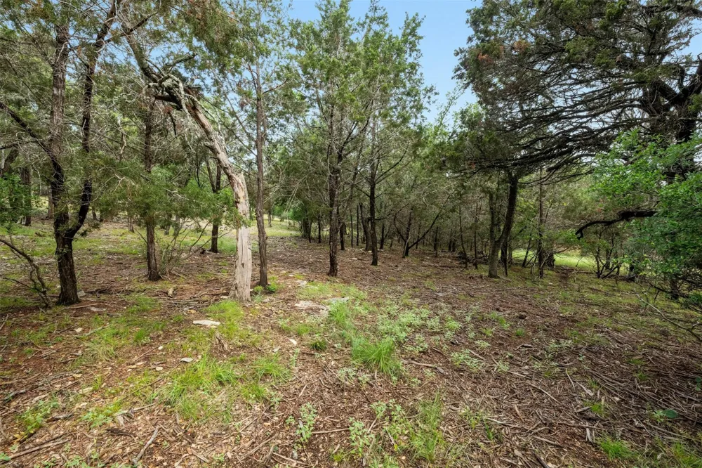 1005 Covered Bridge Drive Driftwood, TX 78619