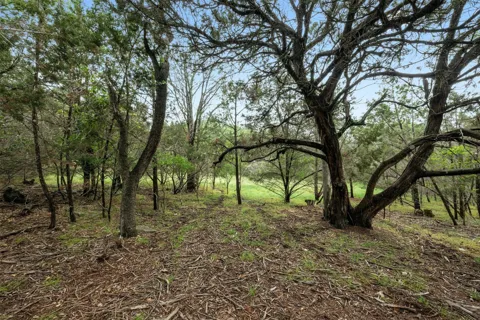 1005 Covered Bridge Drive