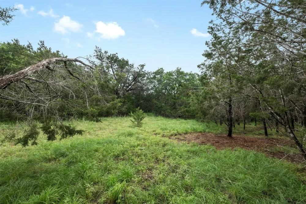 1005 Covered Bridge Drive Driftwood, TX 78619