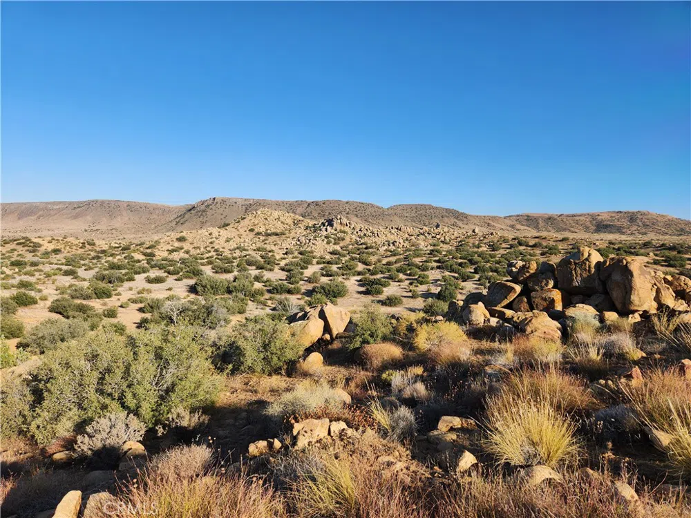 7 Oak Drive Pioneertown, CA 92268