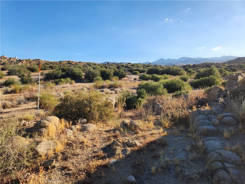 7 Oak Drive Pioneertown, CA 92268