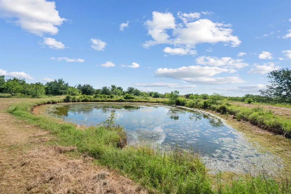 31772 W Fm 8 Dublin, TX 76446