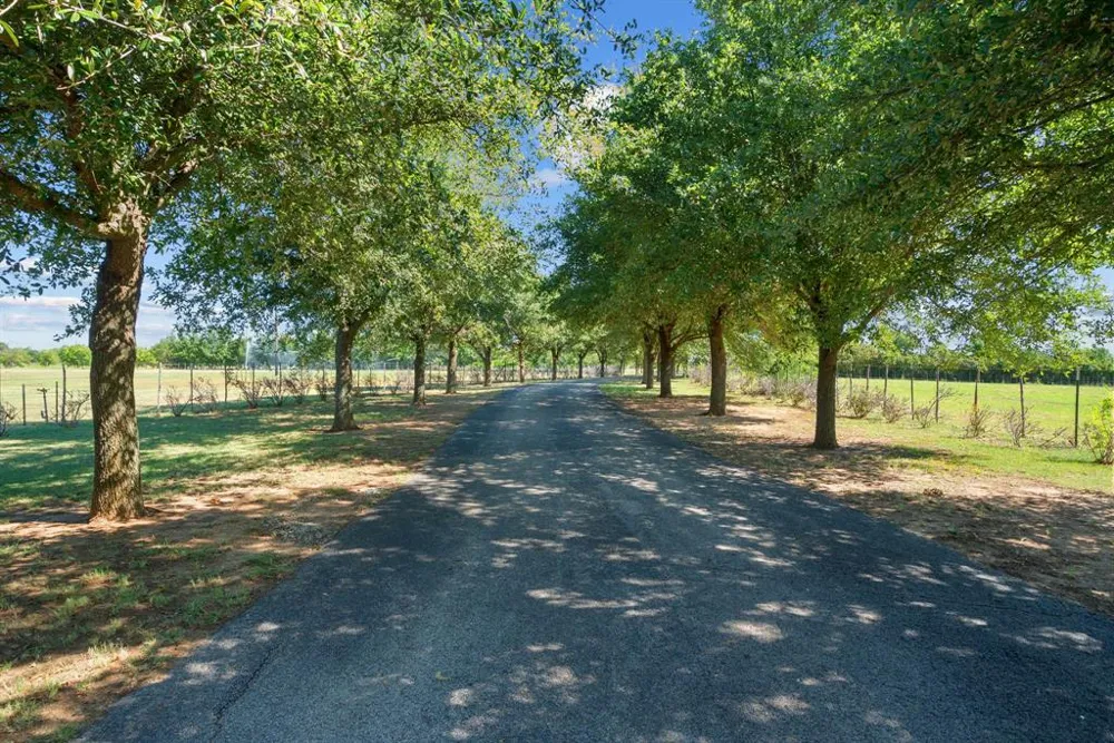 31772 W Fm 8 Dublin, TX 76446