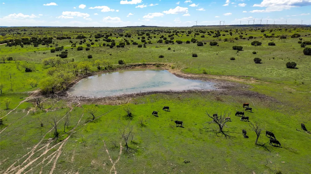 4121 County Road 2719 Evant, TX 76525