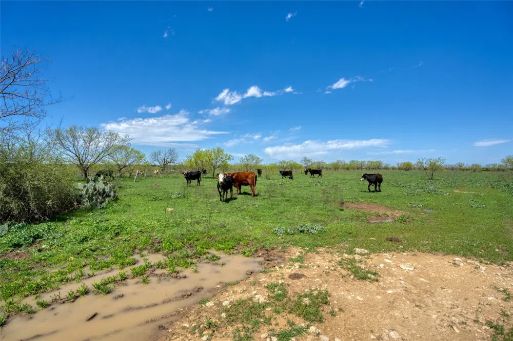 4121 County Road 2719 Evant, TX 76525