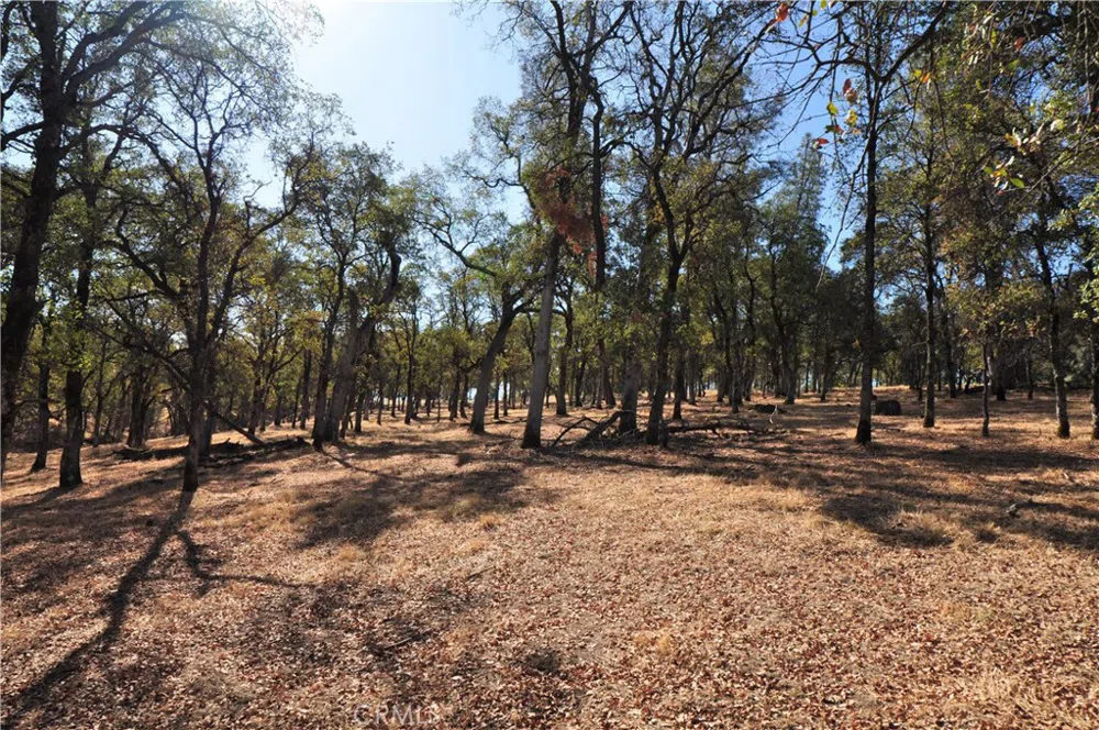 Orange Ave Bangor, CA 95966