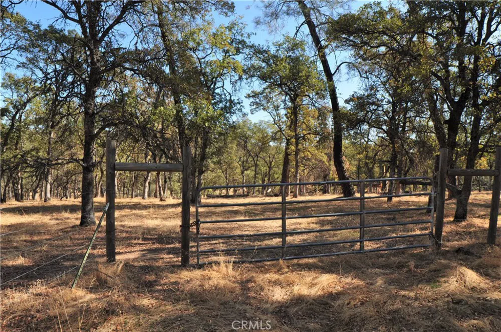 Orange Ave Bangor, CA 95966