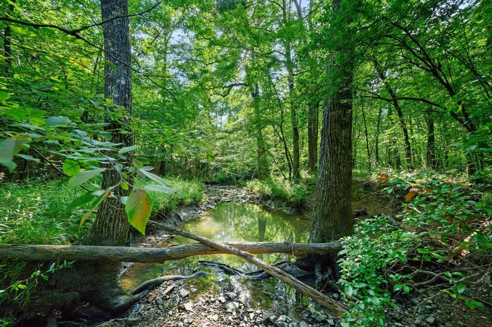 66 Aged Acacia Trail Broken Bow, OK 74728