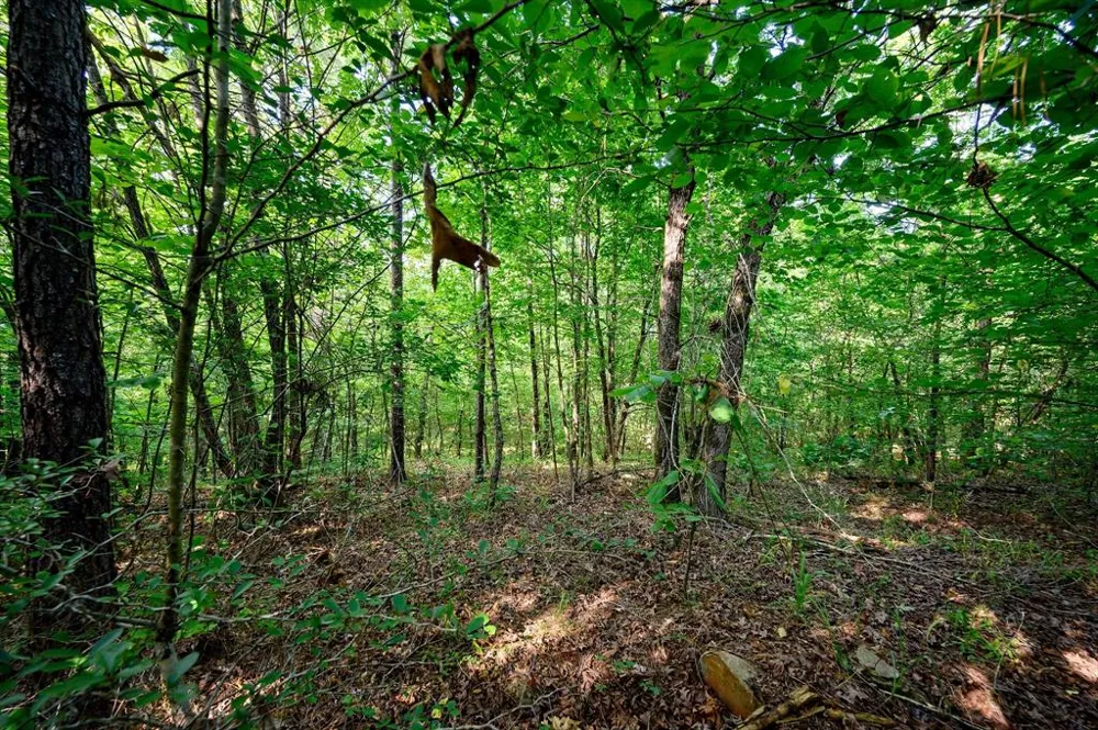 66 Aged Acacia Trail Broken Bow, OK 74728