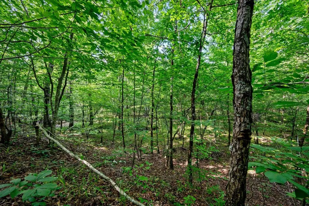66 Aged Acacia Trail Broken Bow, OK 74728