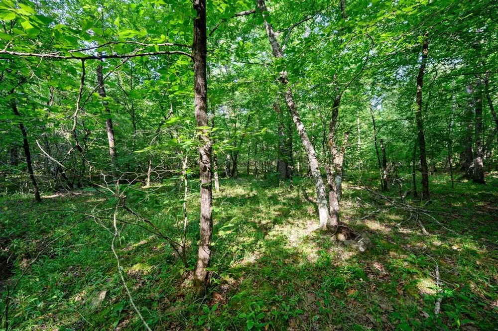 66 Aged Acacia Trail Broken Bow, OK 74728