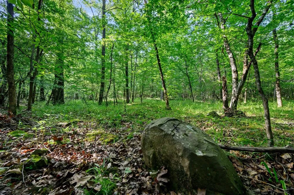 66 Aged Acacia Trail Broken Bow, OK 74728