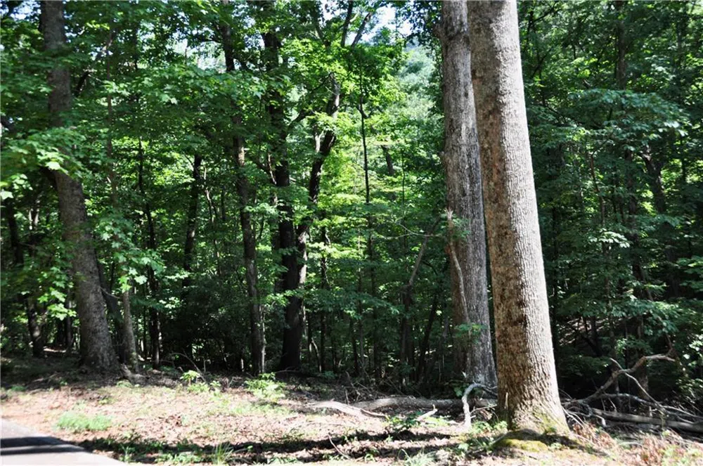 7097 Pine Knoll Big Canoe, GA 30143