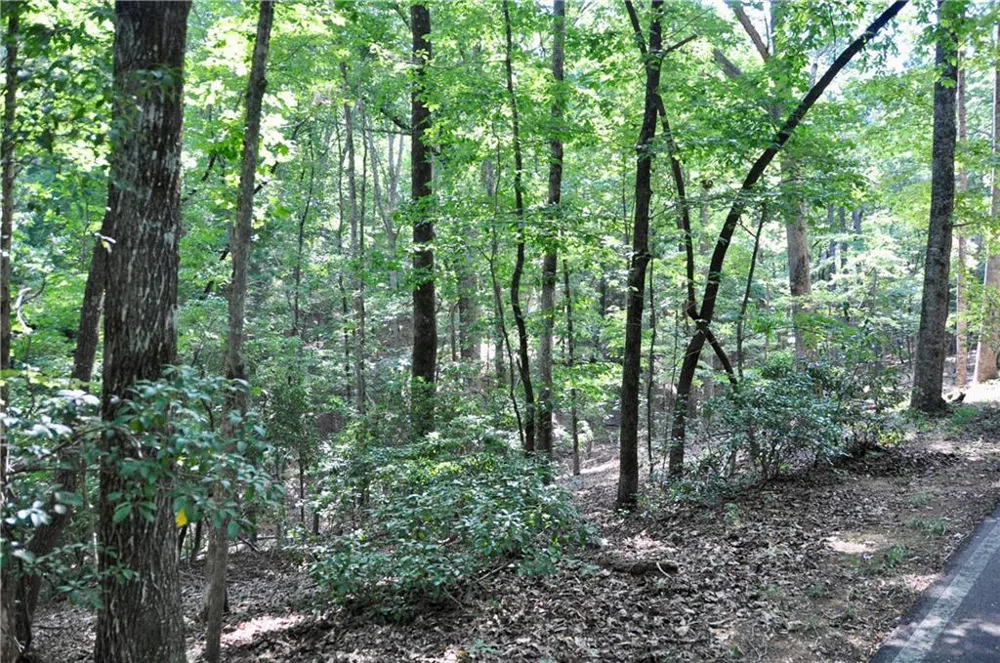 7097 Pine Knoll Big Canoe, GA 30143
