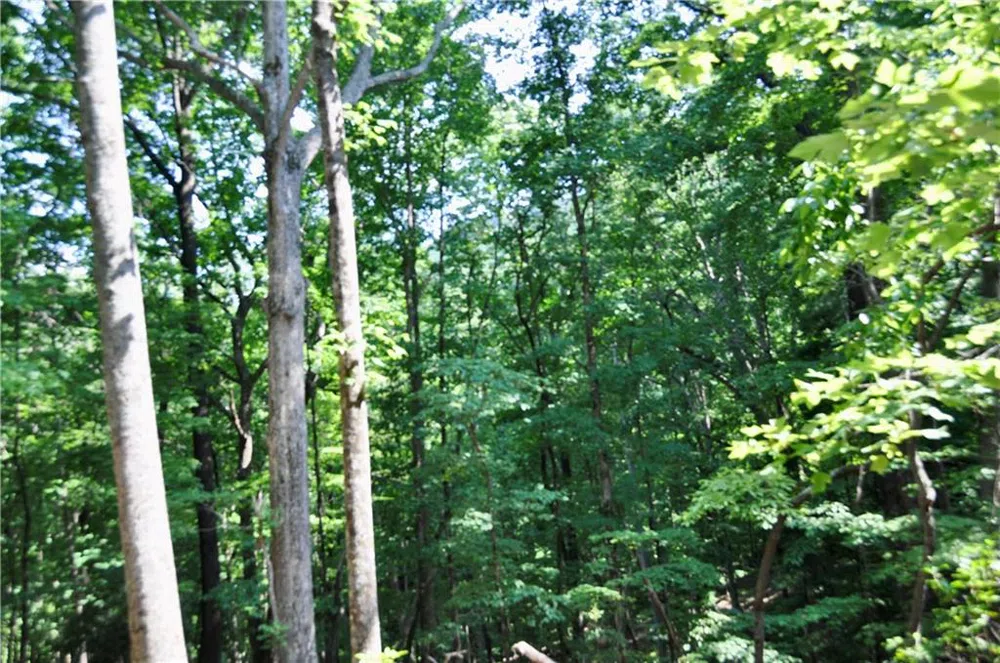 7097 Pine Knoll Big Canoe, GA 30143
