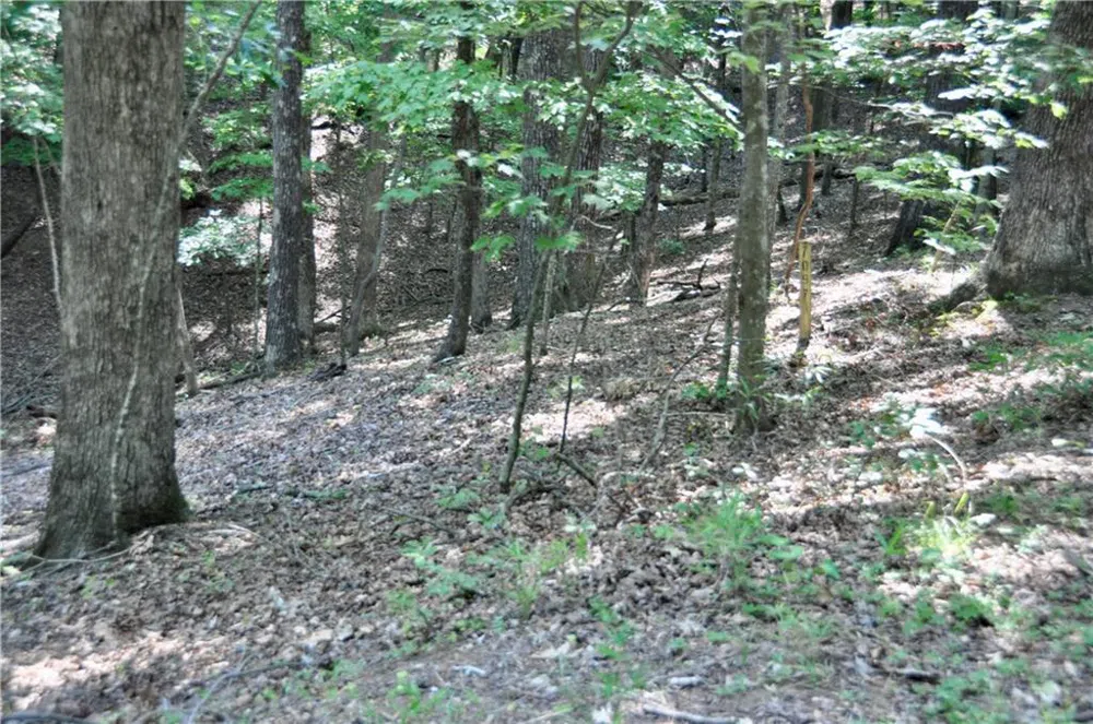 7097 Pine Knoll Big Canoe, GA 30143