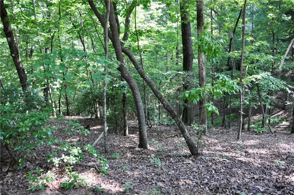 7097 Pine Knoll Big Canoe, GA 30143