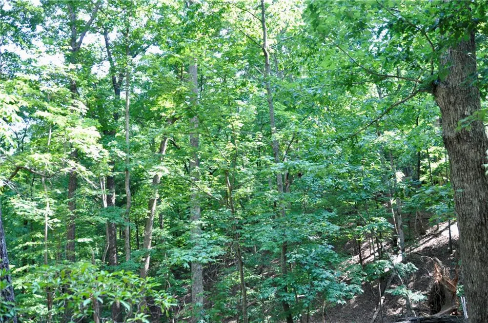 7097 Pine Knoll Big Canoe, GA 30143