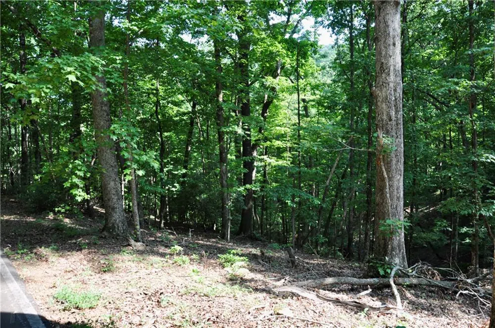 7097 Pine Knoll Big Canoe, GA 30143
