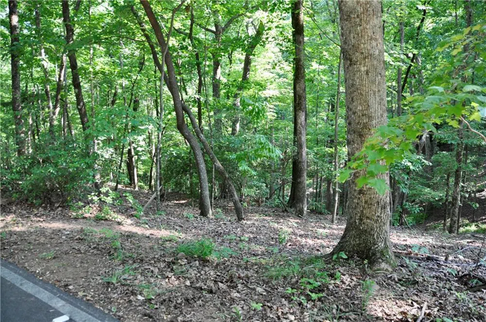 7097 Pine Knoll Big Canoe, GA 30143