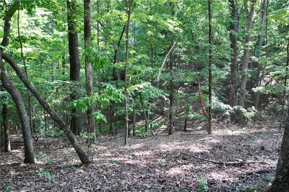 7097 Pine Knoll Big Canoe, GA 30143